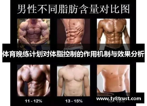体育晚练计划对体脂控制的作用机制与效果分析