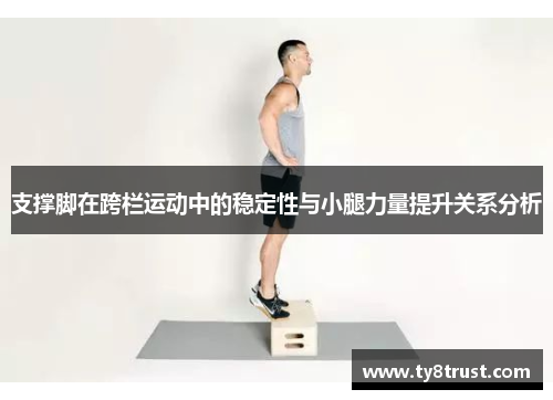 支撑脚在跨栏运动中的稳定性与小腿力量提升关系分析